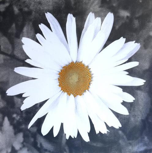 Love me, Love me Not - Yellow and Silver, with a touch of gold