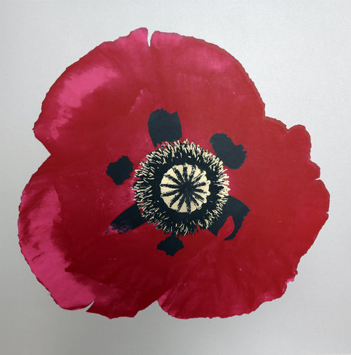 Poppy III
