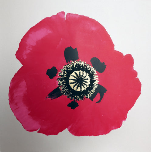 Poppy IV