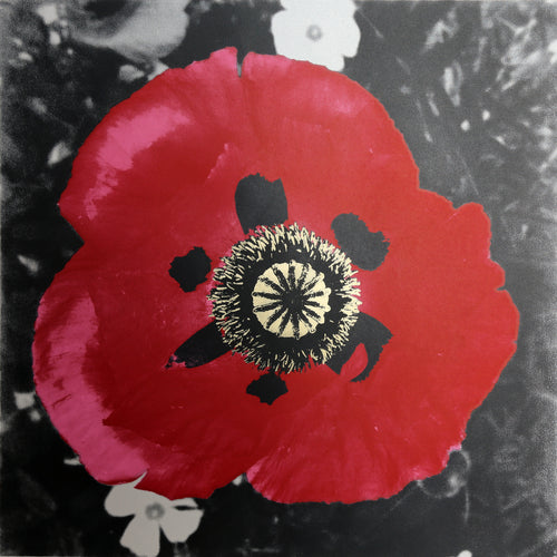 Poppy I