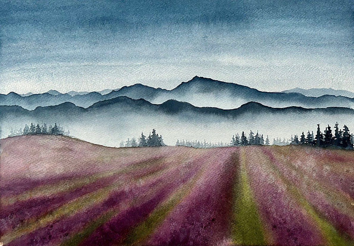 Lavender Fields in Provencial Drôme